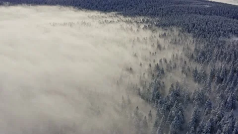 Amazing inversion clouds in mountain ridges with foggy forest trees in sunset Stock Footage 141922612