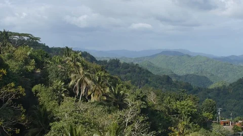 Amazing jungle view Stockbeeldmateriaal 127392743