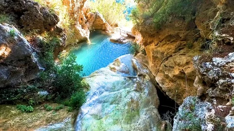 Amazing Lagoon in the Forest Stock Footage 130113905