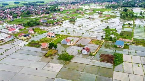 Amazing landscape of rice fields Foto stock