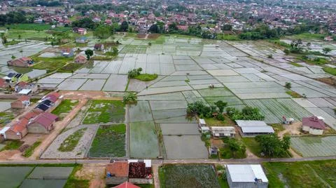 Amazing landscape of rice fields Foto stock