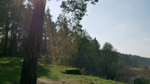 Amazing landscape sunlight Stock Footage 83369525