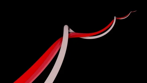 Amazing Lines that swirls randomly Stock Footage 112293597