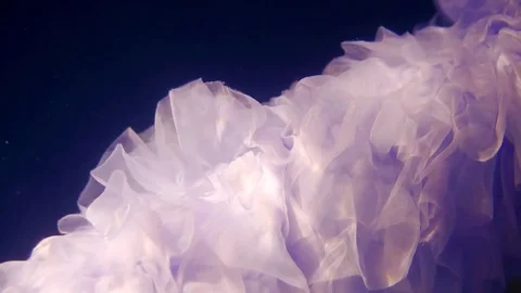 Amazing magic view of silk and chiffon fabric is floating under water in a dark Stock Footage 86657131