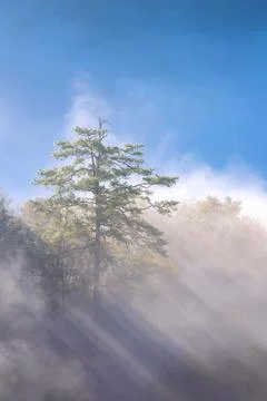 Amazing mist moving over the nature mountains during sunrise at mountains Photos
