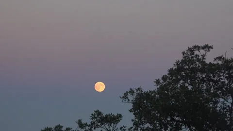 Amazing Moon Stock Footage 189080945