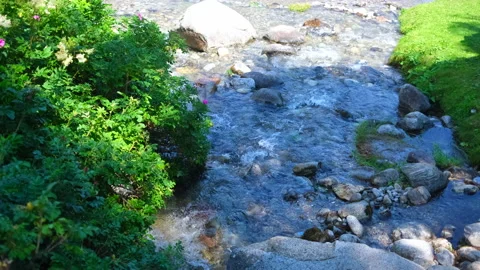Amazing mountain river flowing with vegetation in the foreground. Stock Footage 166239104