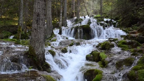 Amazing mountain river waterfall, rocks and clean water in forest. Stock Footage 88839623