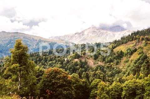 Amazing mountains and forest. Landscape. Wild nature. Stock Photos