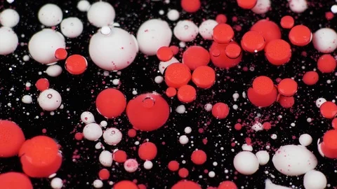 Amazing multicolored bubbles of paint on the oil surface. Paint in oil. Vídeo Stock 105181096