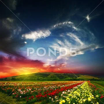Amazing Nature 5 Stock Photos