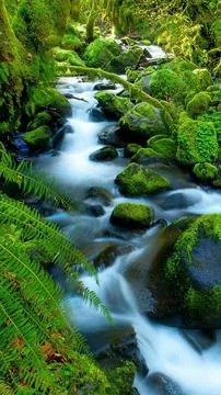 Amazing nature Stock Illustration