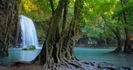 Amazing Nature Of Thailand. Waterfall And Tree With Large Roots Stock Footage