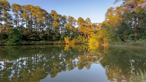 Amazing nature view with a reflection of trees on a lake Stock Footage 337267090