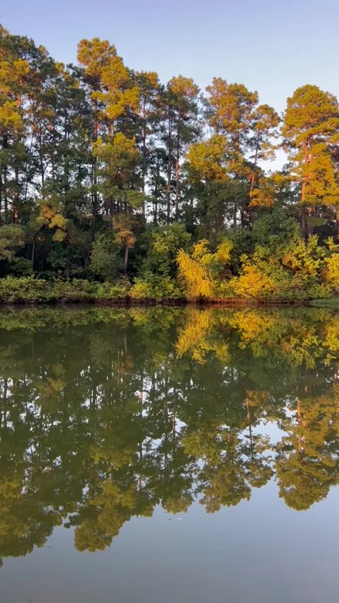 Amazing nature view with a reflection of trees on a lake, Texas state park Stock Footage 337267289