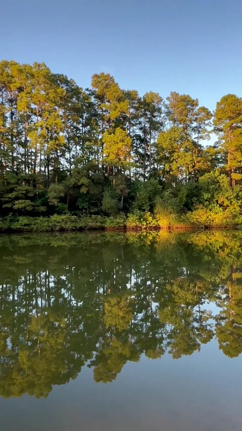 Amazing nature view with a reflection of trees on a lake, Texas state park Stock Footage 337267638