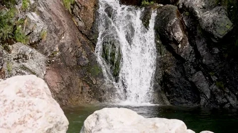 Amazing nature view on a waterfall surrounded by stones, grass and green pla Stock Footage 219541749