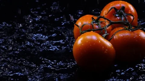 Amazing orange tomatoes on the vine, falling on black surface with shallow water Stock-Footage 78355348