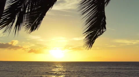 Amazing Palm Tree Sunset Over Tropical Beach SLOW MOTION Stock Footage 58745568