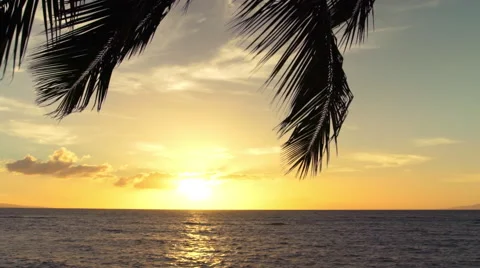 Amazing Palm Tree Sunset Over Tropical Beach SLOW MOTION Stock Footage 58745573