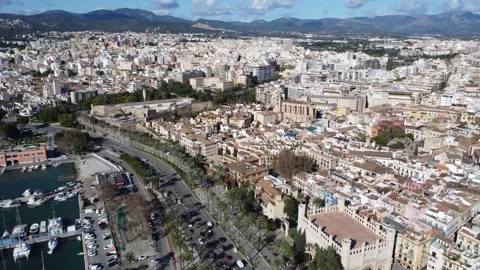 Amazing panoramic circling view over Palma de Mallorca Stock Footage 166477966