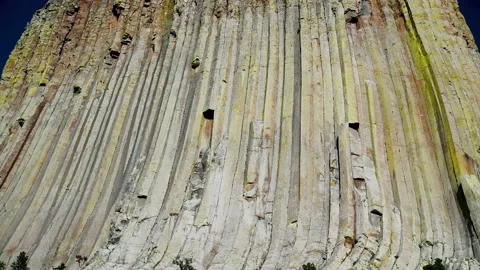 Amazing panoramic view of Devils Tower in summer season Vidéo 158074617