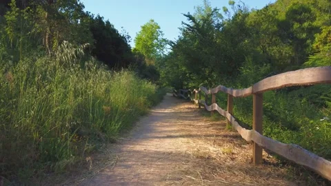 Amazing path in the countryside. Stock Footage 132528281