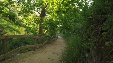 Amazing path in the countryside Stock Footage 132528323