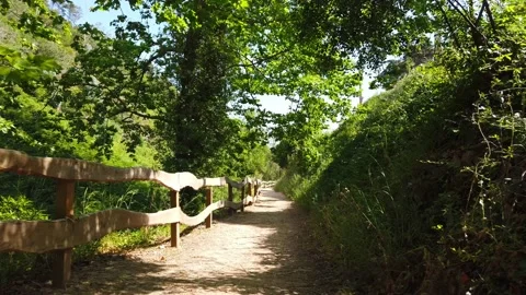 Amazing path in the countryside. Stock Footage 132528753