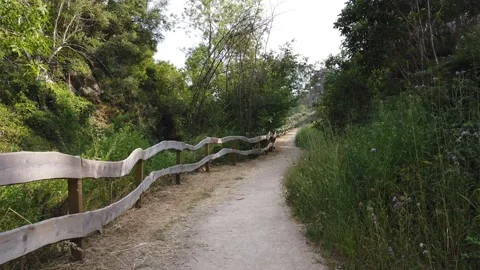Amazing path in the countryside. Stock Footage 132528813