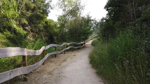 Amazing path in the countryside. Stock Footage 132528845