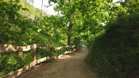 Amazing path in the countryside. Stock Footage 132528856
