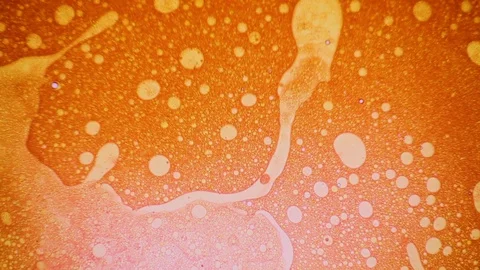 Amazing pattern made of liquid dye and oil Stock Footage 127866804