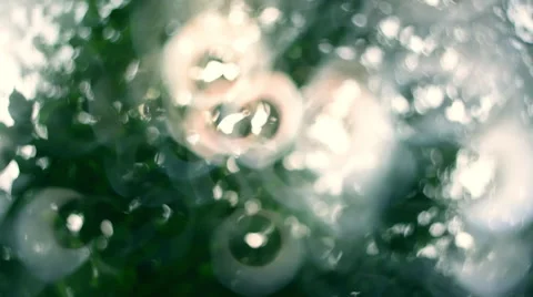 Amazing play of magic light through the green foliage. Abstract background Stock Footage 58212552