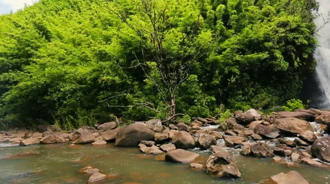 Amazing Powerful Waterfall View in Bamboo Forest. Lush Nature Waterfall Lands Видео 54596136