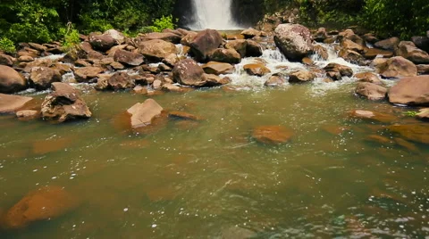 Amazing Powerful Waterfall View in Bamboo Forest. Lush Nature Waterfall Lands Vidéo 54596173