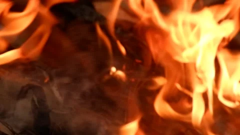 Amazing process of burning dry leaves Stock Footage 229353054