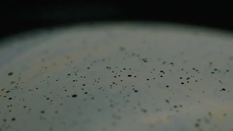 Amazing rainbow gradient background in motion. 4K. Fuel liqud. Stock Footage 159735420