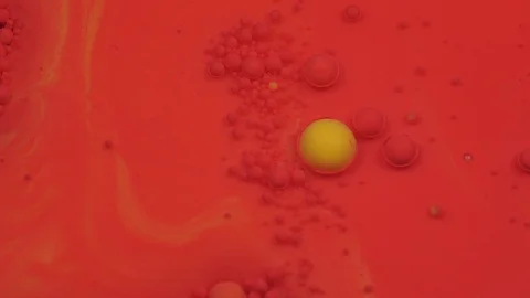 Amazing red and yellow bubbles of paint on the oil surface. Paint in oil. Video stock 105176025