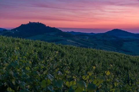 Amazing red sunset over Oltrepo' Pavese hills with wineyards and Montalto cas Stock Photos