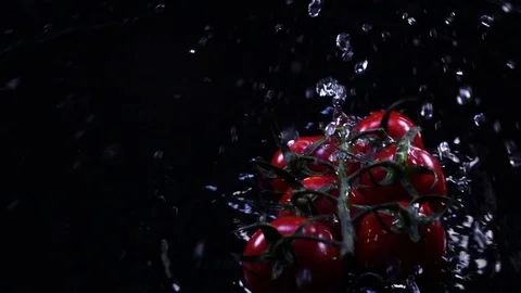 Amazing red tomatoes on the vines, falling on black surface with shallow water Video stock 78355483