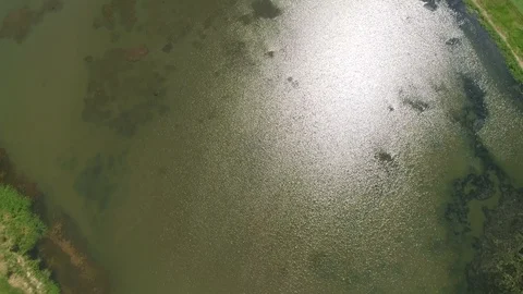 Amazing river reflection summer Stock Footage 91731124