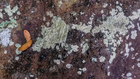 Amazing rock texture as a background Stock Photos