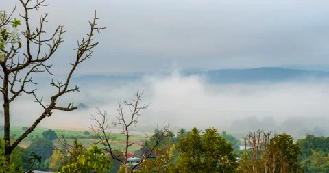 Amazing sea of clouds coverage of the rural town in Thailand Stock Footage 260116954