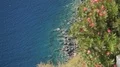 Amazing seashore ornamented by beautiful exotic flowers, paradise on earth HD Footage