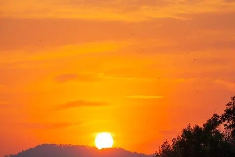 Amazing sky at sunset Stock Photos