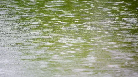 Amazing slow motion of rain dropping on green water surface with back focus Stock Footage 52769913