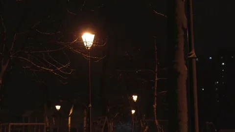Amazing slow motion snowfall at night park on lantern background in early winter Stock Footage 201309931