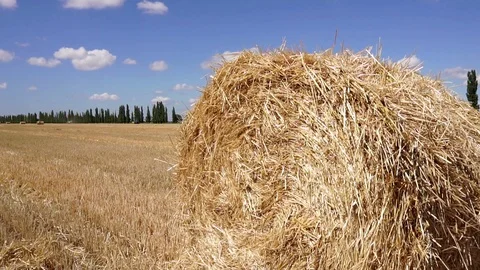 Amazing slow motion view on young female in casual clothes straw hat walking Stock Footage 95021864