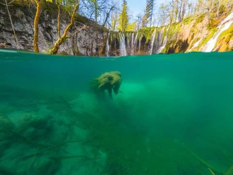 Amazing split view of lake with sunken tree trunk. Stock Photos